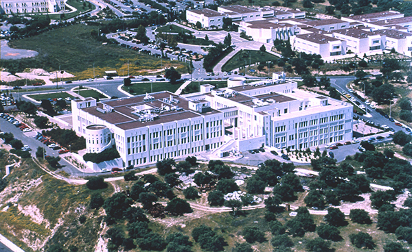 The School of Medicine